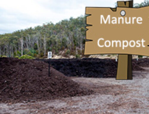 Main Factors Affecting Manure Composting Process